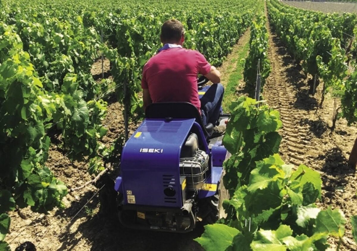 Débroussailleuse autoportée ISEKI SRA600 – Image 3