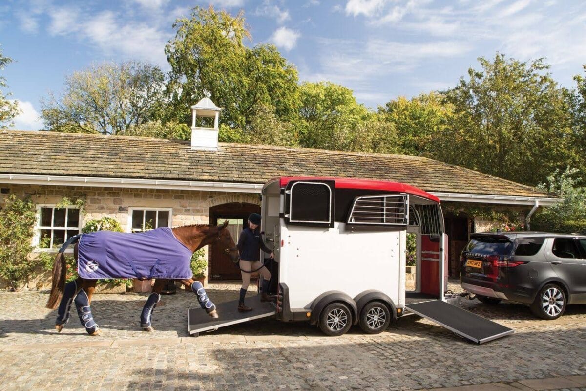 Van Cheval Ifor Williams Hbx 506 2 Places – Image 3