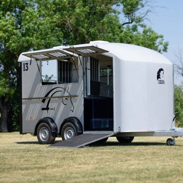 Van Minimax – Maxi 3