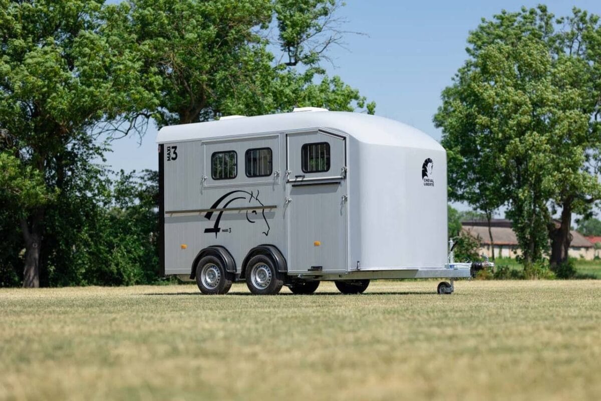 Van Minimax – Maxi 3 – Image 2